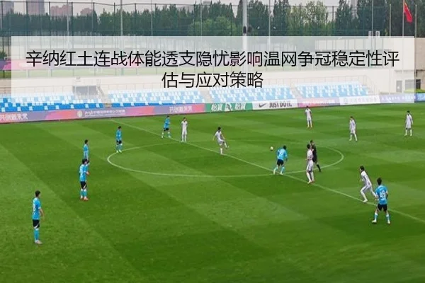xin-na-hong-tu-lian-zhan-ti-neng-tou-zhi-yin-you-ying-xiang-wen-wang-zheng-guan-wen-ding-xing-ping-gu-yu-ying-dui-ce-lve-2-868.jpg